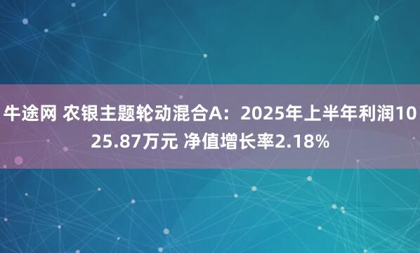 牛途网 农银主题轮动混合A：2025年上半年利润1025.87万元 净值增长率2.18%
