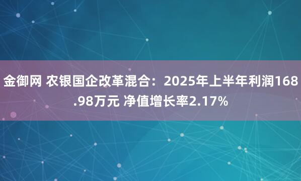 金御网 农银国企改革混合：2025年上半年利润168.98万元 净值增长率2.17%