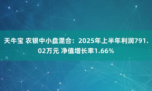 天牛宝 农银中小盘混合：2025年上半年利润791.02万元 净值增长率1.66%