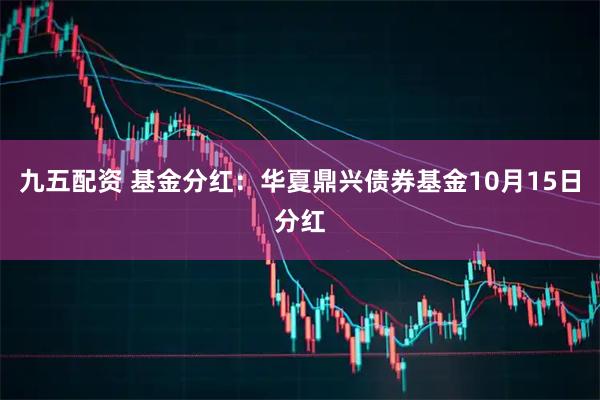 九五配资 基金分红：华夏鼎兴债券基金10月15日分红