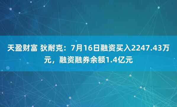 天盈财富 狄耐克:7月16日融资买入2247.43万元,融资融券余额1.4亿元