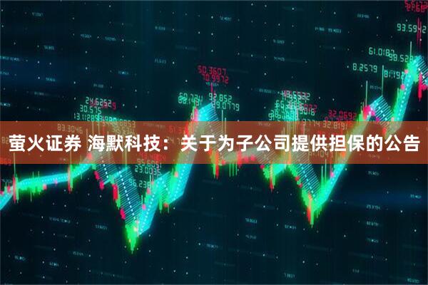 萤火证券 海默科技：关于为子公司提供担保的公告