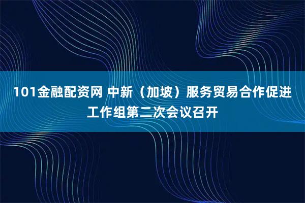 101金融配资网 中新（加坡）服务贸易合作促进工作组第二次会议召开